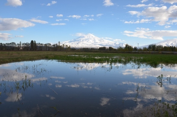 Iğdır’da beyazla yeşilin buluşması 1