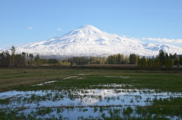 Iğdır’da beyazla yeşilin buluşması 2