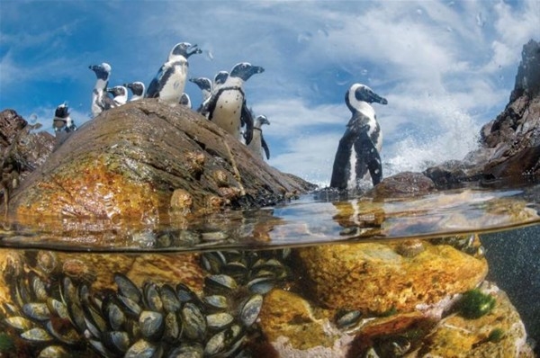 Gezilmesi gereken en dikkat çekici 17 yer 15