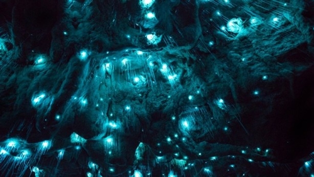 30 milyon yıllık mağara görenleri hayrete düşürüyor 2