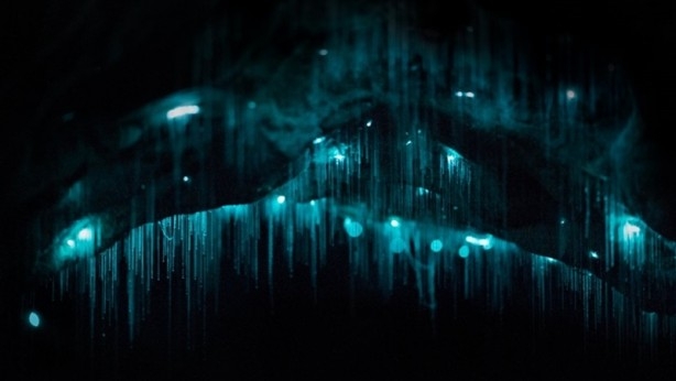 30 milyon yıllık mağara görenleri hayrete düşürüyor 5