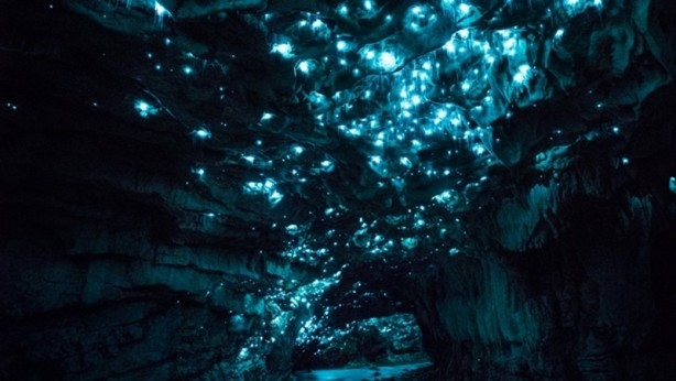 30 milyon yıllık mağara görenleri hayrete düşürüyor 6