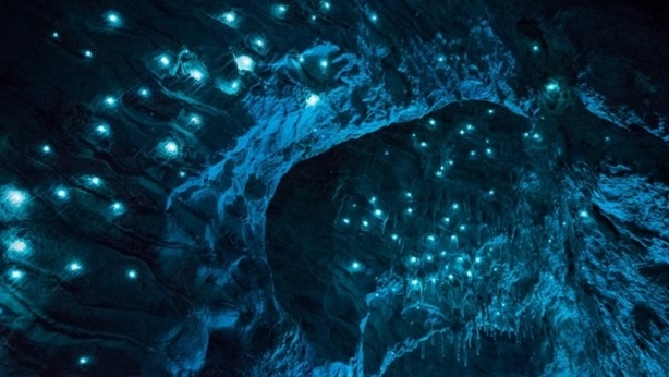 30 milyon yıllık mağara görenleri hayrete düşürüyor 7