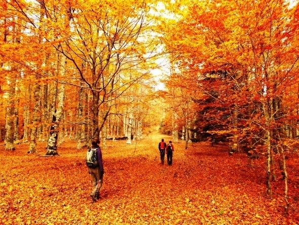 Kaz Dağları rengârenk 6