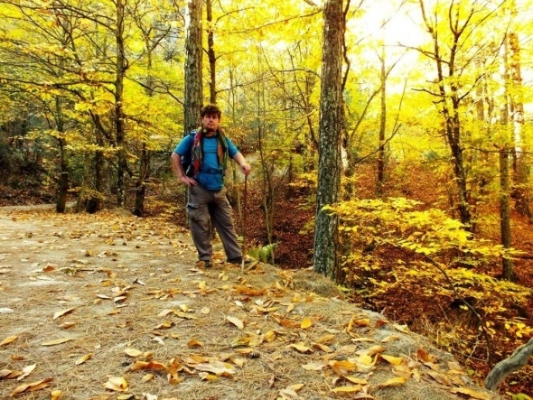 Kaz Dağları rengârenk 8