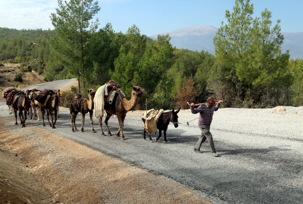 Yağışların azlığı Yörük göçünü etkiledi 2