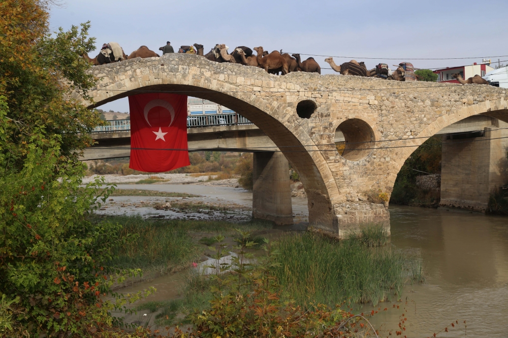 Yağışların azlığı Yörük göçünü etkiledi 29