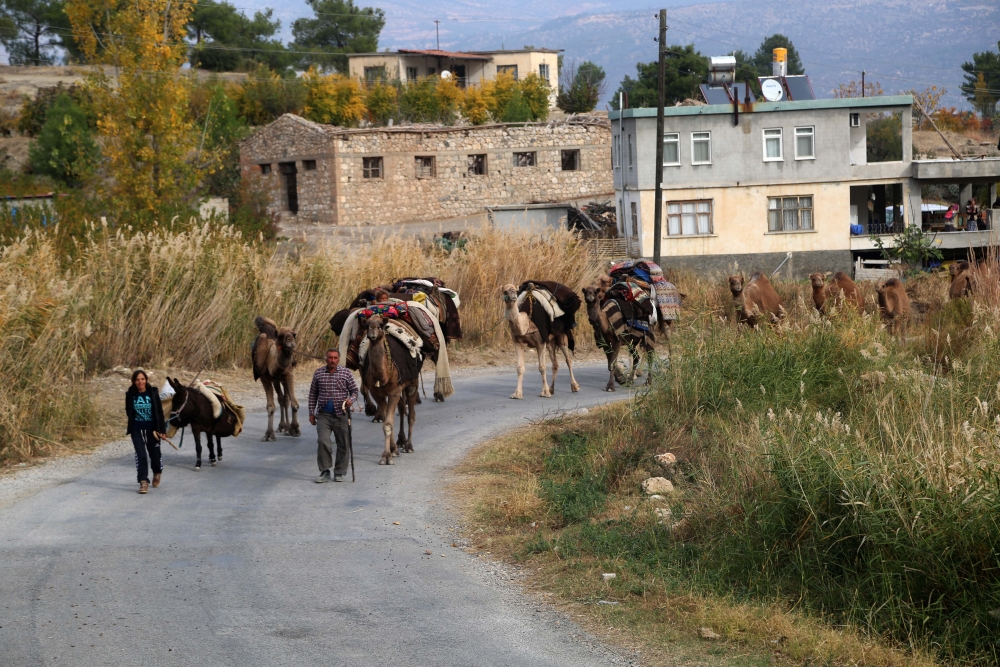 Yağışların azlığı Yörük göçünü etkiledi 30