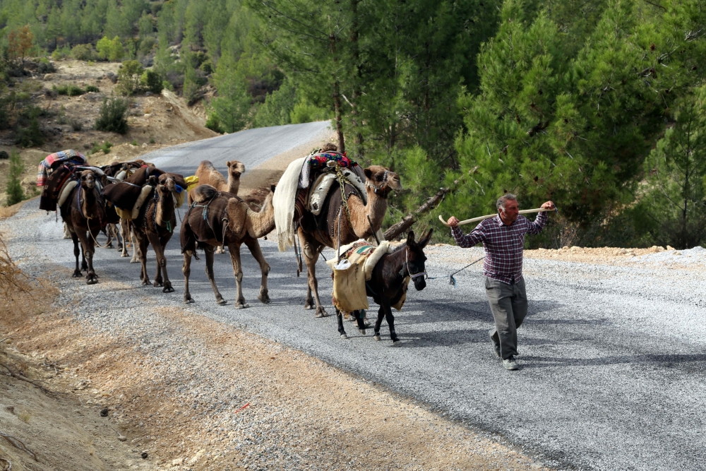 Yağışların azlığı Yörük göçünü etkiledi 32