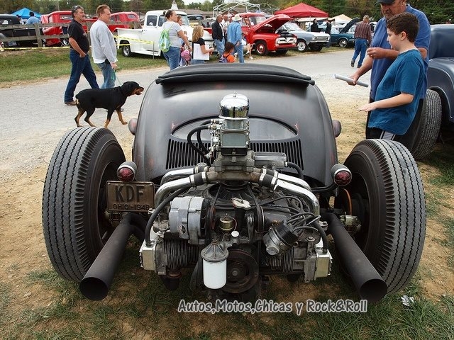 Volkswagen Kaplumbağa efsanesi 10