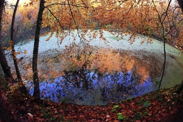 En doğal fotoğraflarla Yedigöller Sonbaharda büyüledi 9
