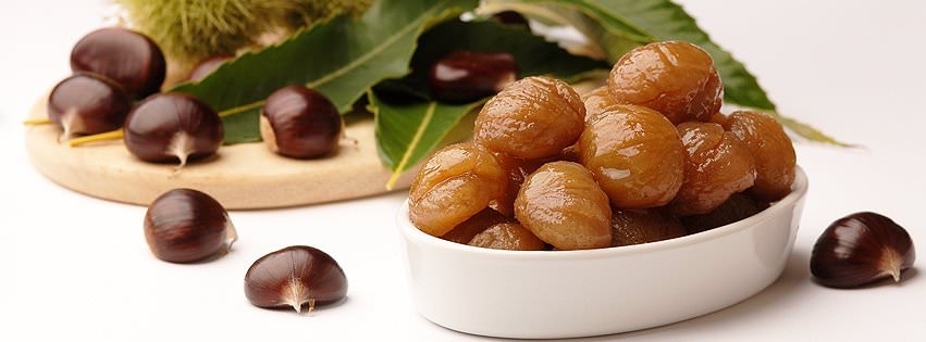 Kestane, yediden yetmişe herkese şifa dağıtıyor 10