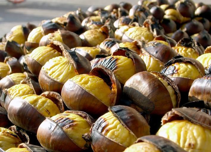 Kestane, yediden yetmişe herkese şifa dağıtıyor 4