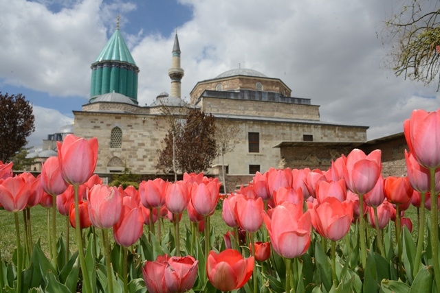 Konya'da lale mevsimi 13