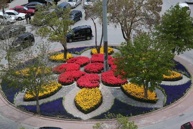 Konya'da lale mevsimi 18