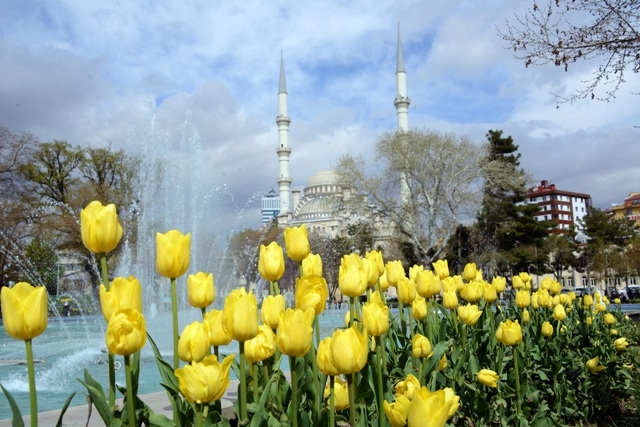 Konya'da lale mevsimi