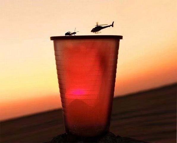 Vahşi yaşamdan "o an"lar 11