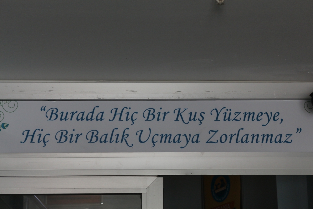 BİLGEHANE 19