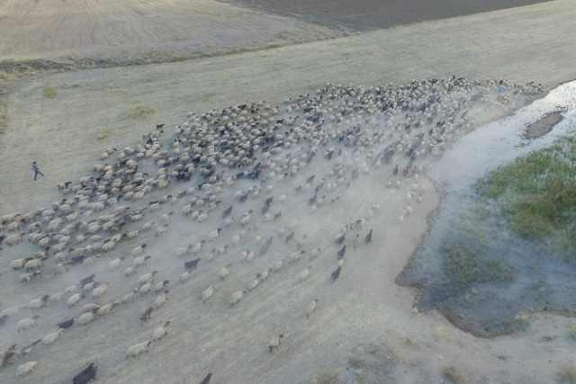 Göçerlerin çileli yolculuğu 'drone'la görüntülendi 13