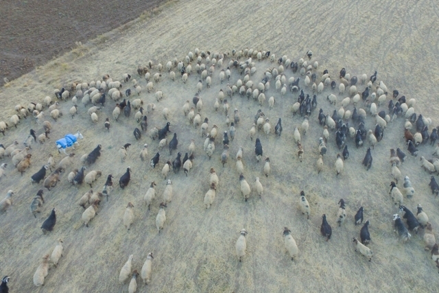 Göçerlerin çileli yolculuğu 'drone'la görüntülendi 20