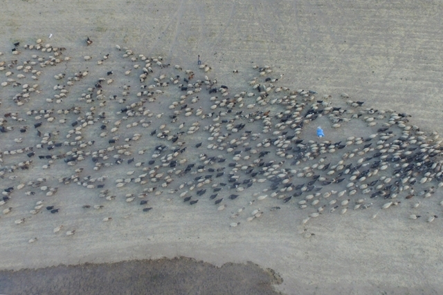 Göçerlerin çileli yolculuğu 'drone'la görüntülendi 29