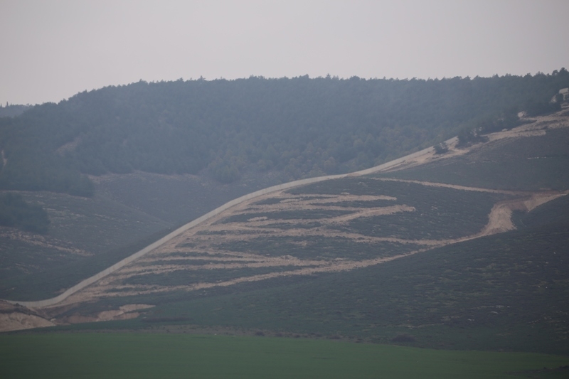 ZEYTİN DALI HAREKATI
