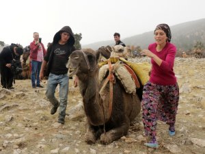 Sarıkeçili Yörükleri'nin tarihi yolculuğu başladı