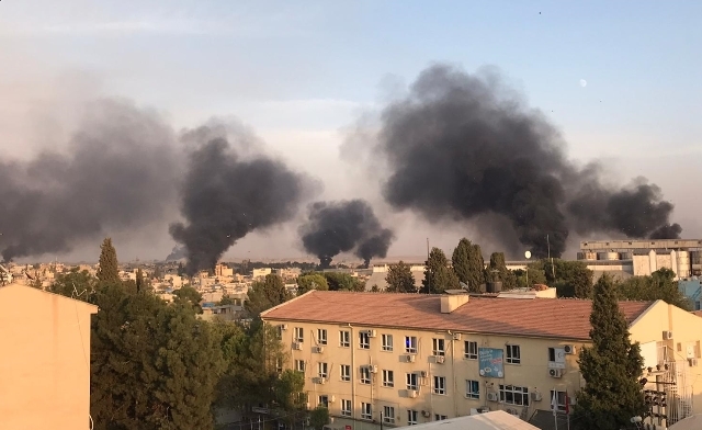 BARIŞ PINARI HAREKATI 29
