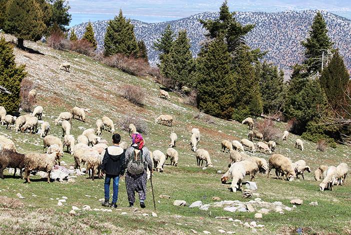 Toroslar'da kadın olmak.. 5