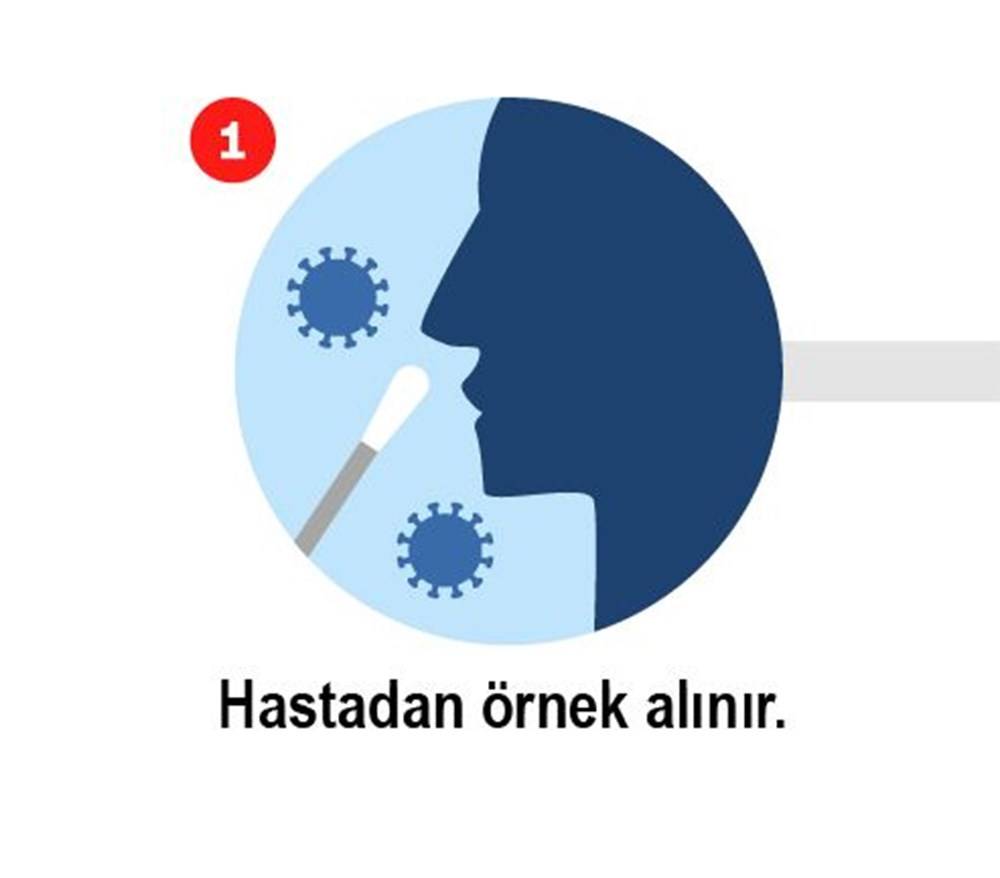 Koronavirüs testi nasıl yapılır? işte 8 adımda Koronavirüs testi 1