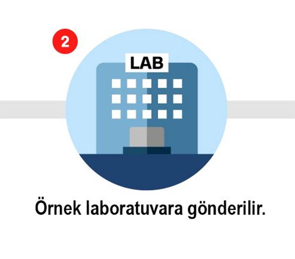 Koronavirüs testi nasıl yapılır? işte 8 adımda Koronavirüs testi 2