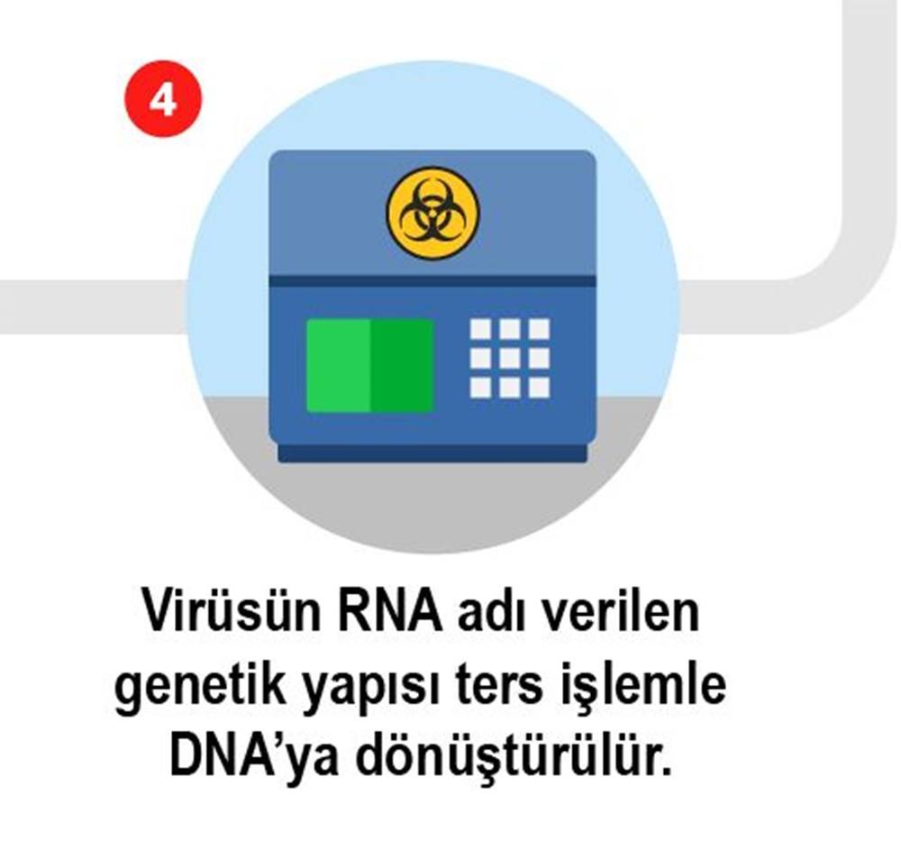 Koronavirüs testi nasıl yapılır? işte 8 adımda Koronavirüs testi 4