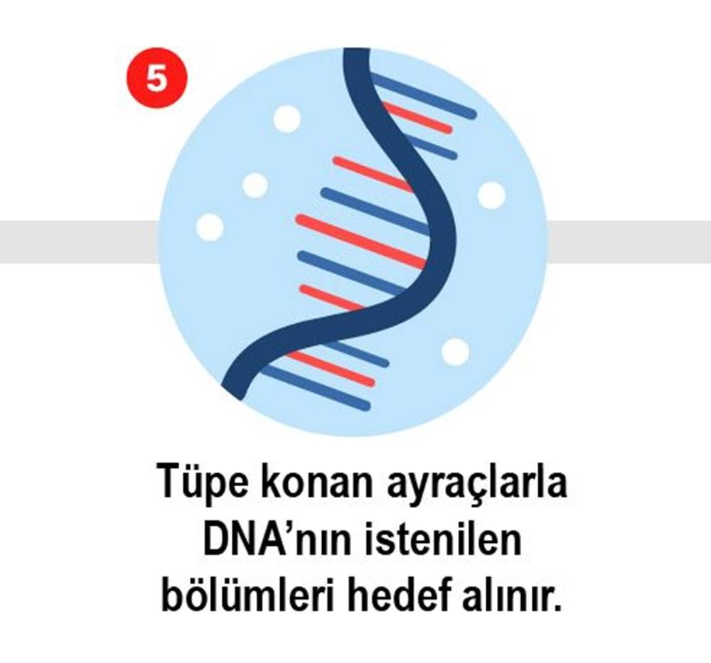 Koronavirüs testi nasıl yapılır? işte 8 adımda Koronavirüs testi 5