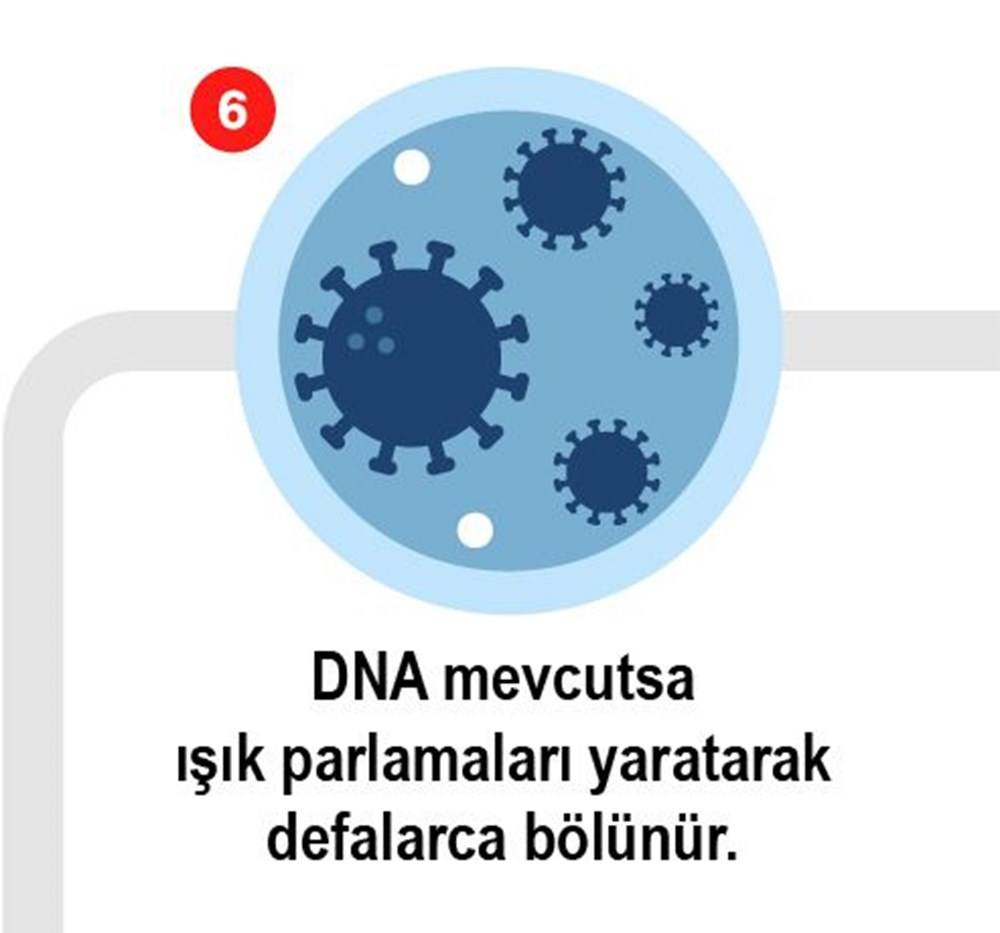 Koronavirüs testi nasıl yapılır? işte 8 adımda Koronavirüs testi 6