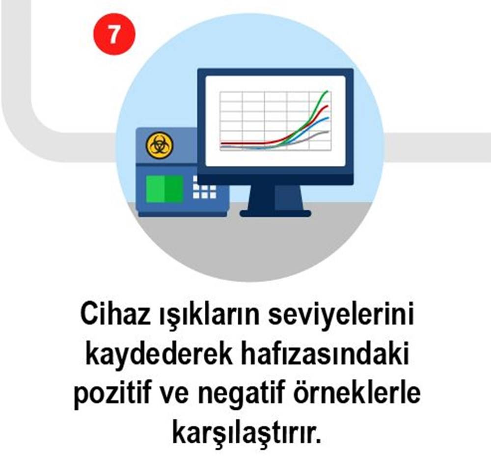 Koronavirüs testi nasıl yapılır? işte 8 adımda Koronavirüs testi 7