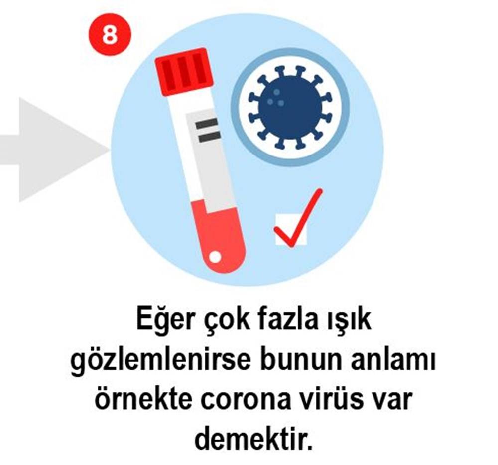 Koronavirüs testi nasıl yapılır? işte 8 adımda Koronavirüs testi 8