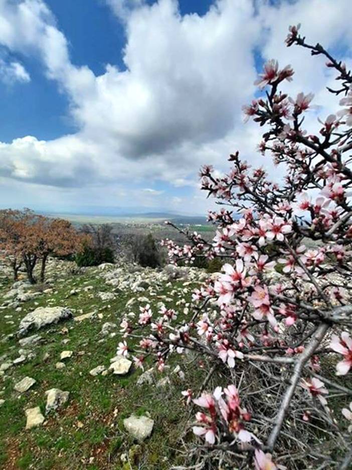 Ahırlı'da çoban Kul'un günlüğü 8
