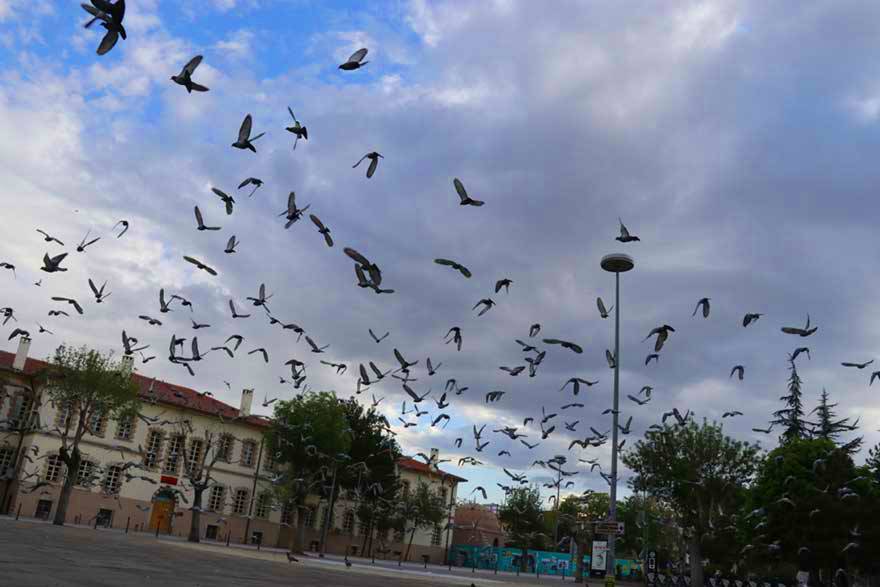 Sokağa çıkma yasağında Konya kartpostallık görüntüler verdi 5
