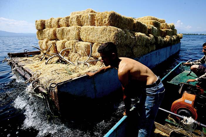 Konya Çeçen Adası'nda sıra dışı rızık mücadelesi 8