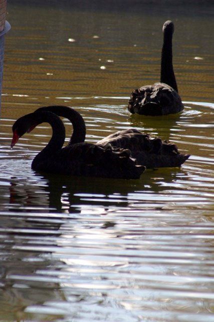 Konyada sudan yansıyanlar 2