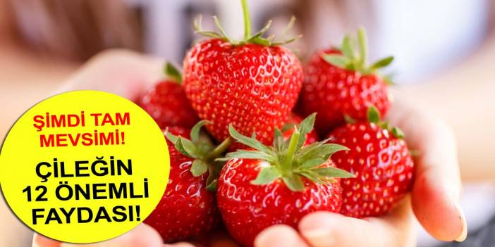 Vitamin ve mineral deposu çileğin bilinmeyen faydaları!