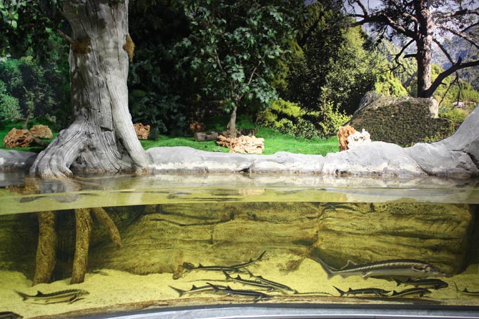 Dünyanın en büyük tematik akvaryumu 36