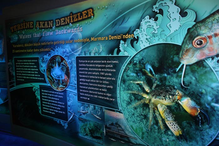 Dünyanın en büyük tematik akvaryumu 37