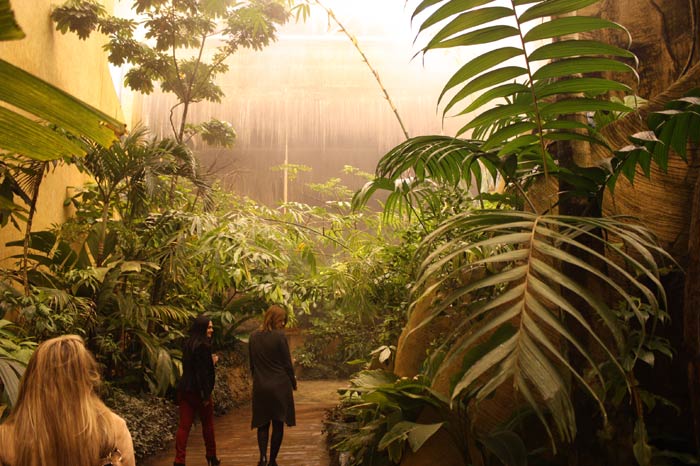 Dünyanın en büyük tematik akvaryumu 5