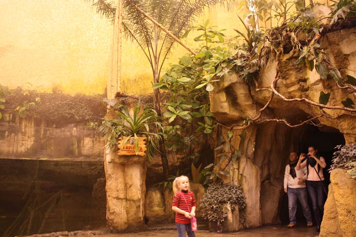 Dünyanın en büyük tematik akvaryumu 6