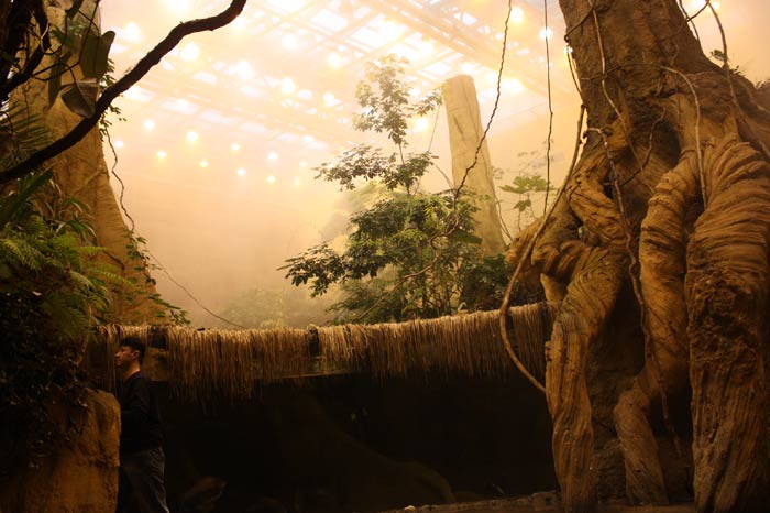 Dünyanın en büyük tematik akvaryumu 7