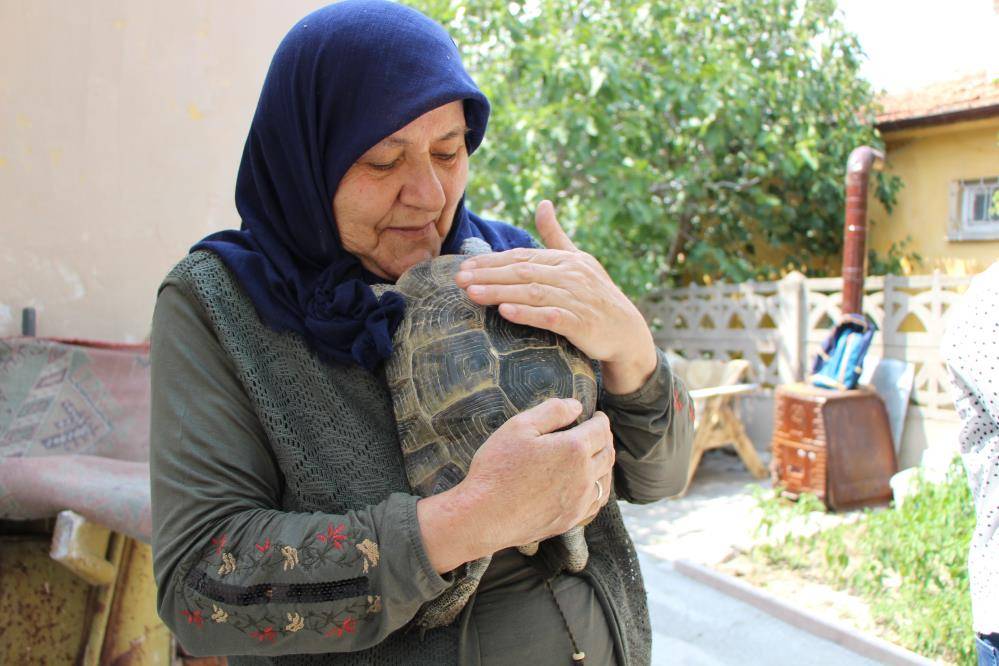 Türkiye'nin kaplumbağa terbiyecisi 2