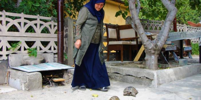 Türkiye'nin kaplumbağa terbiyecisi