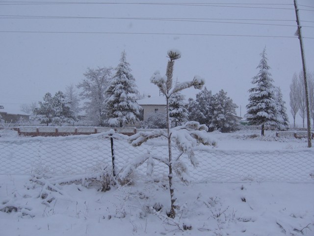 Konyada kar yağışı 5