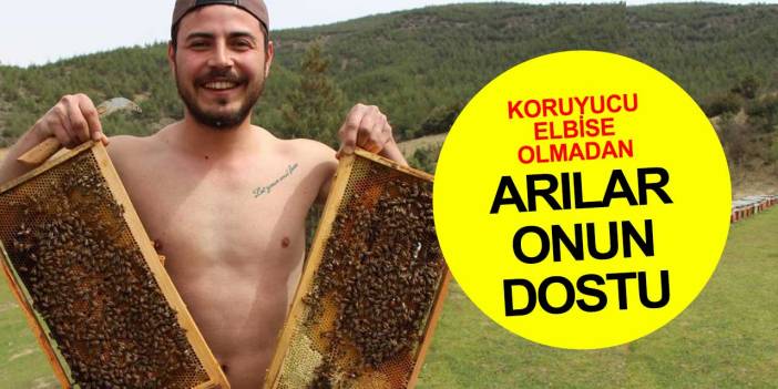Binlerce arının içinde koruyucu elbisesi olmadan dolaşıyor